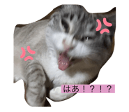 581078327