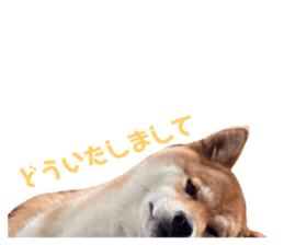 581101927