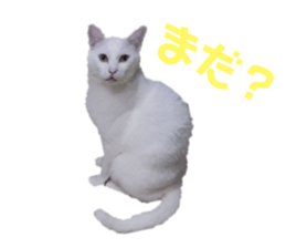 581123726