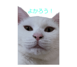 581123728