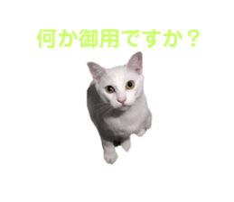 581123731
