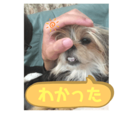 581125021