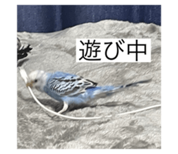 581151405