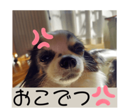 581172867