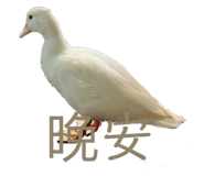 581185815