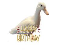 581185821