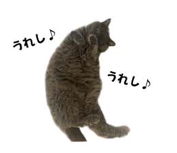 581200001