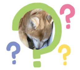 581243045