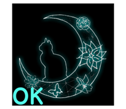 581254877