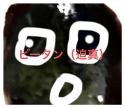 581304933