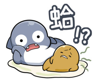 581484260