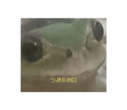 581525684