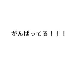 581556257