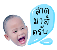 581556424