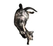 581583313