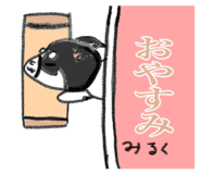 581616849