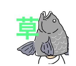 581623650