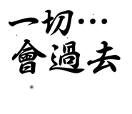 58162446