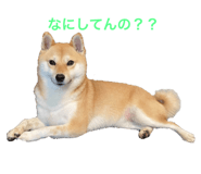 581632334