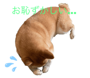 581632335