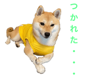 581632340