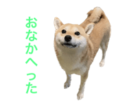 581632342
