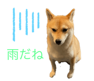 581632347