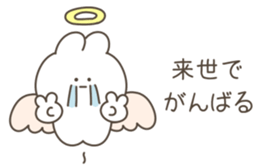 581662018