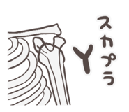 581665436