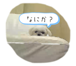 581726394