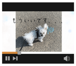 581726397