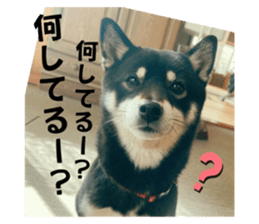 581743544
