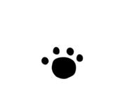581758120