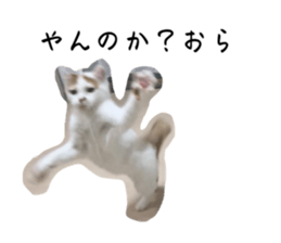 581814491