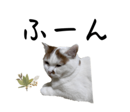 581814503