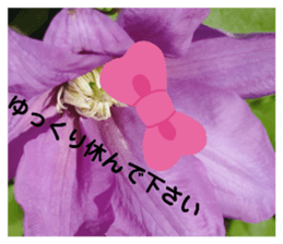 581924654