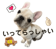 581936713