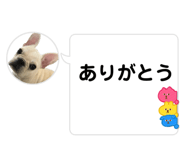 581936730