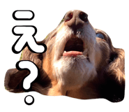 581937326