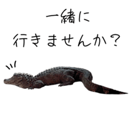 581956443