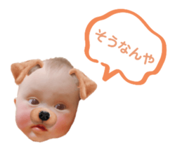 582000402