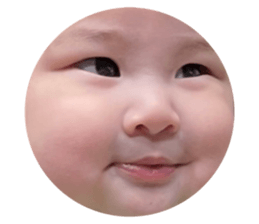 582042944
