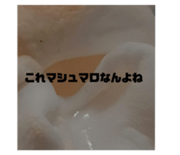 582175722