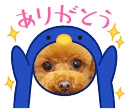 582260878