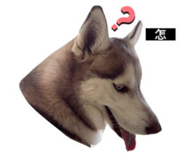 582278727