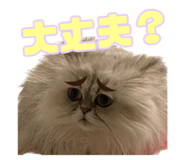 582348020