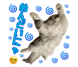 582348042