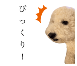 582356190