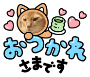 582362846