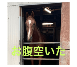 582367001